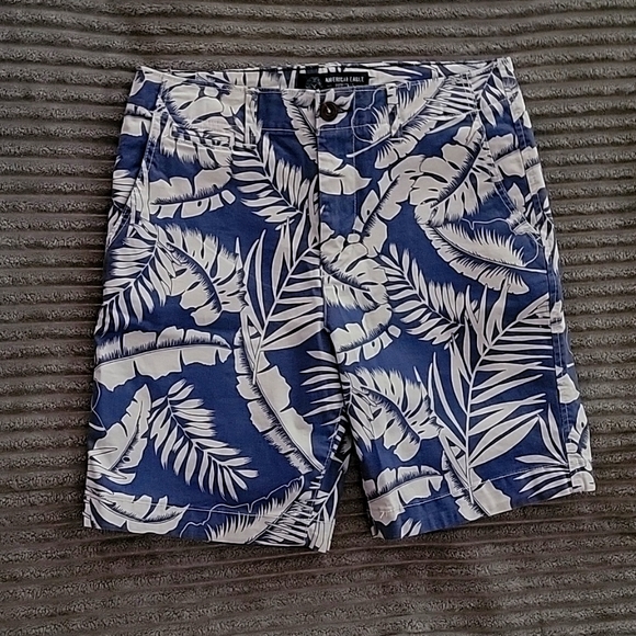 American Eagle shorts - Picture 1 of 6